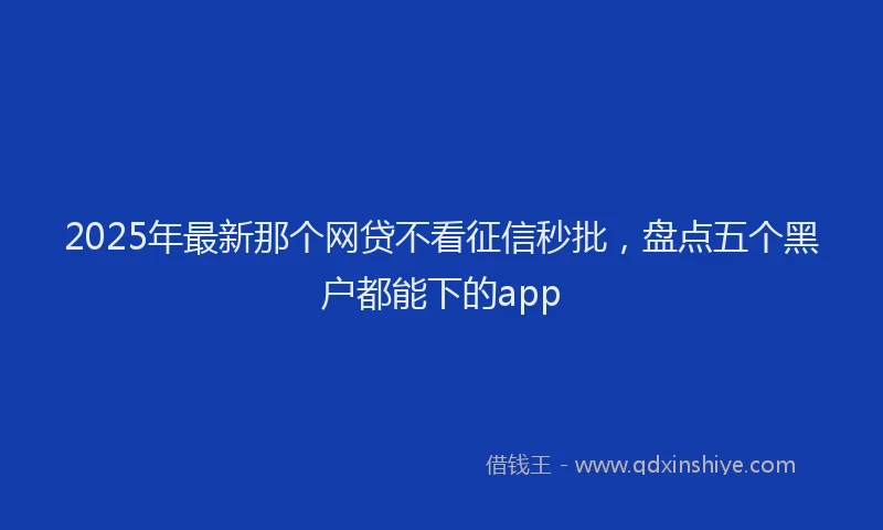 2025年最新那个网贷不看征信秒批，盘点五个黑户都能下的app
