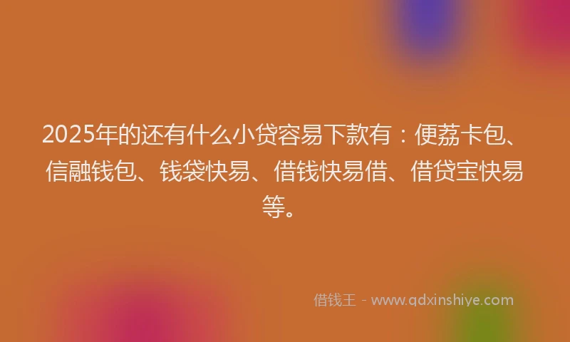 2025年的还有什么小贷容易下款有：便荔卡包、信融钱包、钱袋快易、借钱快易借、借贷宝快易等。