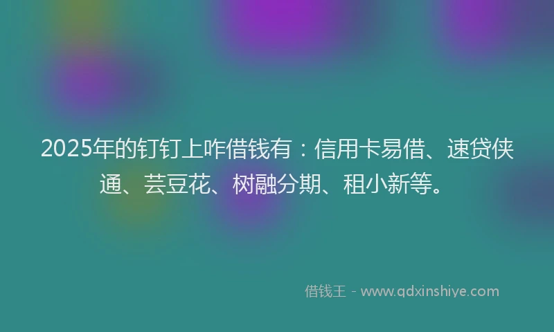 2025年的钉钉上咋借钱有：信用卡易借、速贷侠通、芸豆花、树融分期、租小新等。
