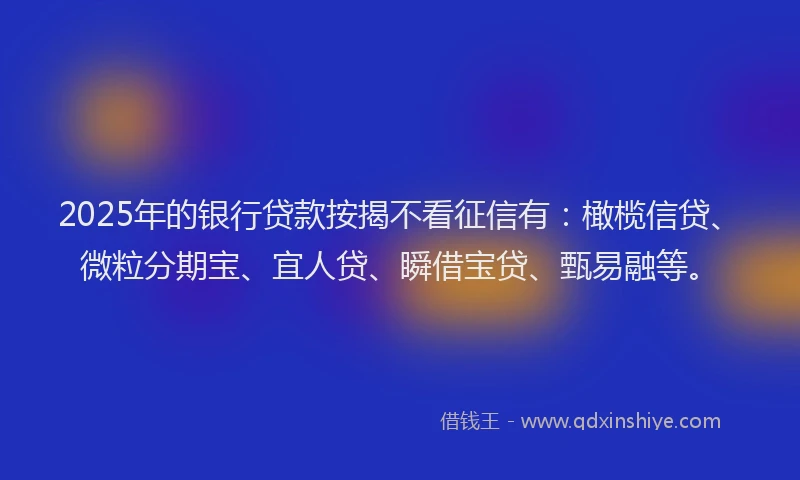 2025年的银行贷款按揭不看征信有：橄榄信贷、微粒分期宝、宜人贷、瞬借宝贷、甄易融等。