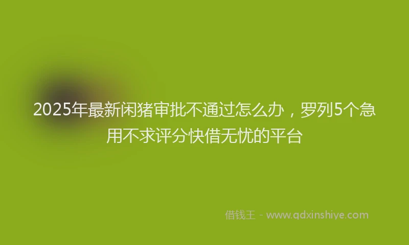 2025年最新闲猪审批不通过怎么办，罗列5个急用不求评分快借无忧的平台