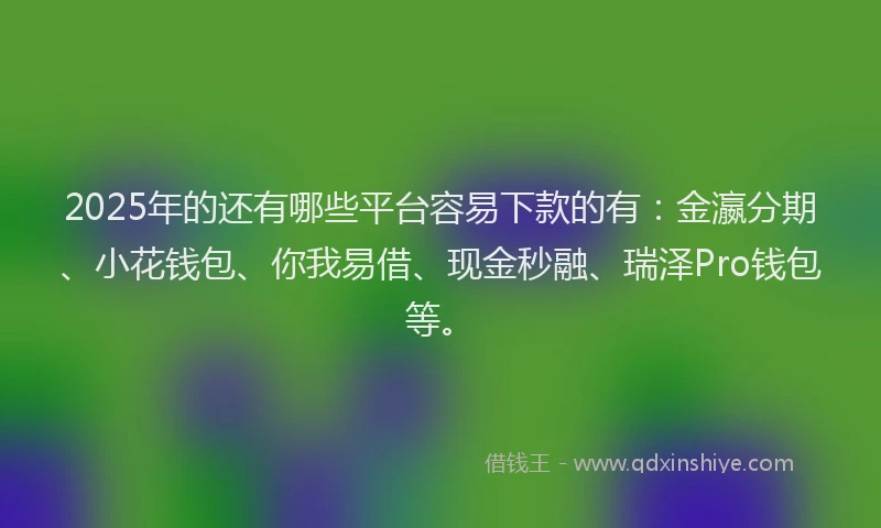 2025年的还有哪些平台容易下款的有：金瀛分期、小花钱包、你我易借、现金秒融、瑞泽Pro钱包等。