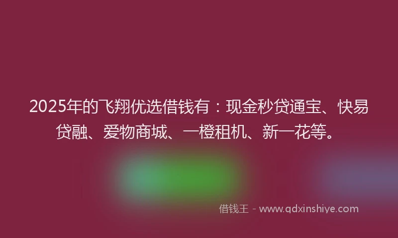 2025年的飞翔优选借钱有：现金秒贷通宝、快易贷融、爱物商城、一橙租机、新一花等。