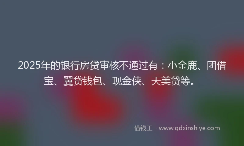 2025年的银行房贷审核不通过有：小金鹿、团借宝、翼贷钱包、现金侠、天美贷等。