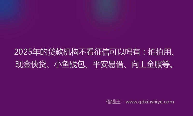 2025年的贷款机构不看征信可以吗有：拍拍用、现金侠贷、小鱼钱包、平安易借、向上金服等。
