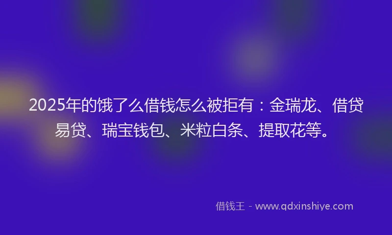 2025年的饿了么借钱怎么被拒有：金瑞龙、借贷易贷、瑞宝钱包、米粒白条、提取花等。