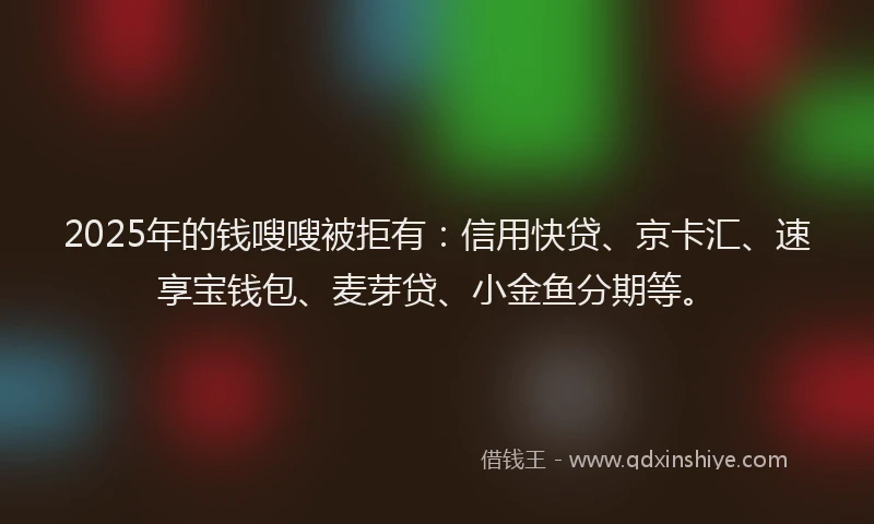 2025年的钱嗖嗖被拒有：信用快贷、京卡汇、速享宝钱包、麦芽贷、小金鱼分期等。