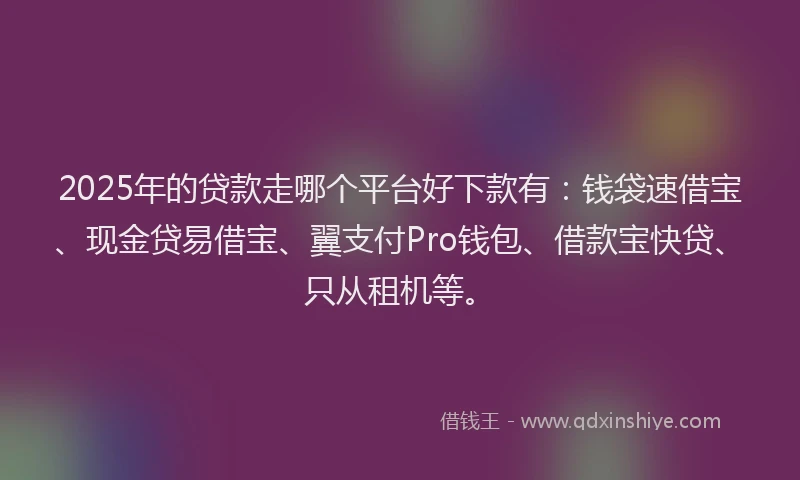 2025年的贷款走哪个平台好下款有：钱袋速借宝、现金贷易借宝、翼支付Pro钱包、借款宝快贷、只从租机等。
