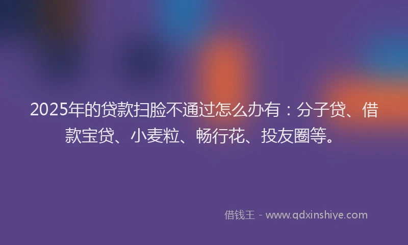 2025年的贷款扫脸不通过怎么办有：分子贷、借款宝贷、小麦粒、畅行花、投友圈等。