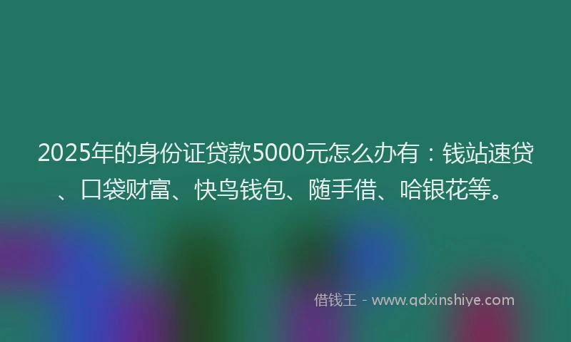 2025年的身份证贷款5000元怎么办有：钱站速贷、口袋财富、快鸟钱包、随手借、哈银花等。