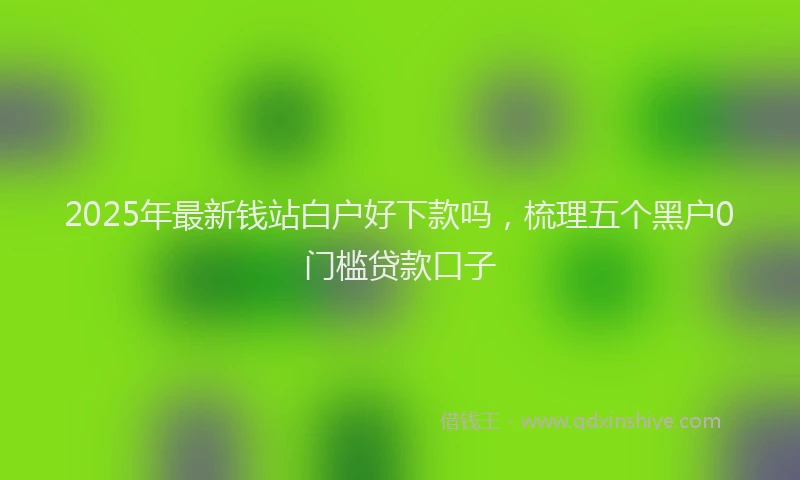 2025年最新钱站白户好下款吗，梳理五个黑户0门槛贷款口子