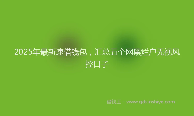 2025年最新速借钱包，汇总五个网黑烂户无视风控口子