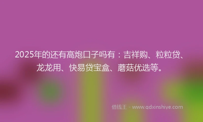 2025年的还有高炮口子吗有：吉祥购、粒粒贷、龙龙用、快易贷宝盒、蘑菇优选等。
