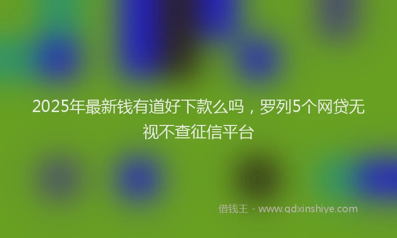2025年最新钱有道好下款么吗，罗列5个网贷无视不查征信平台