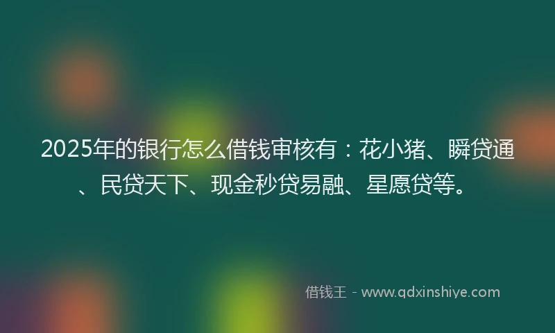 2025年的银行怎么借钱审核有：花小猪、瞬贷通、民贷天下、现金秒贷易融、星愿贷等。