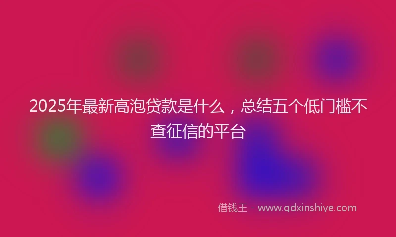 2025年最新高泡贷款是什么，总结五个低门槛不查征信的平台