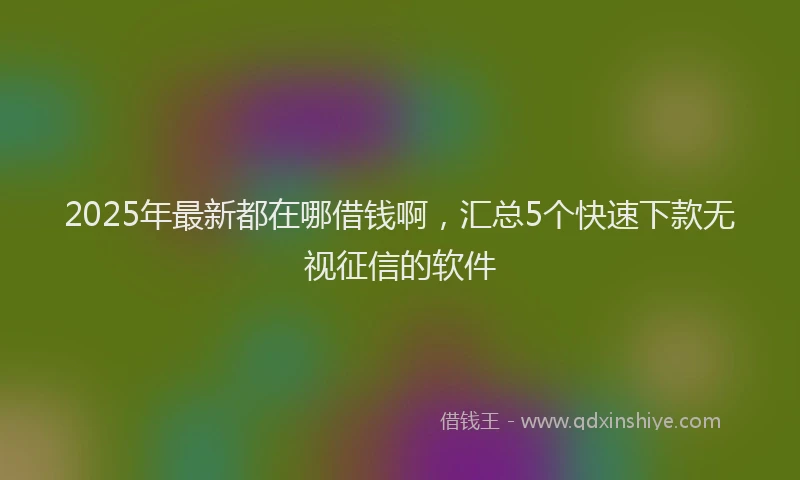 2025年最新都在哪借钱啊，汇总5个快速下款无视征信的软件