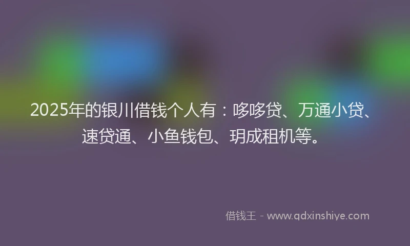 2025年的银川借钱个人有：哆哆贷、万通小贷、速贷通、小鱼钱包、玥成租机等。