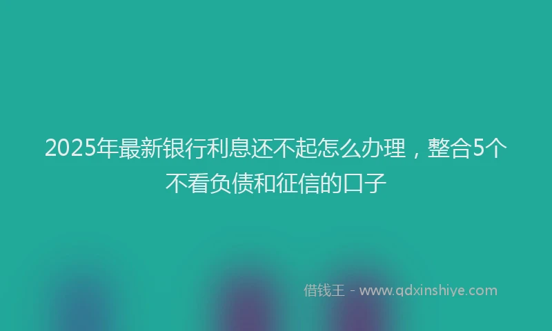 2025年最新银行利息还不起怎么办理，整合5个不看负债和征信的口子