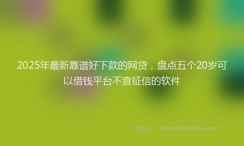 2025年最新靠谱好下款的网贷，盘点五个20岁可以借钱平台不查征信的软件