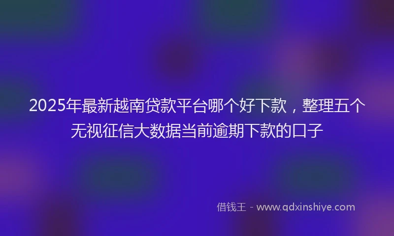 2025年最新越南贷款平台哪个好下款，整理五个无视征信大数据当前逾期下款的口子