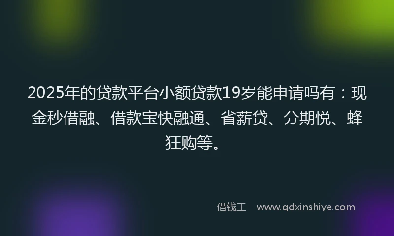 2025年的贷款平台小额贷款19岁能申请吗有：现金秒借融、借款宝快融通、省薪贷、分期悦、蜂狂购等。