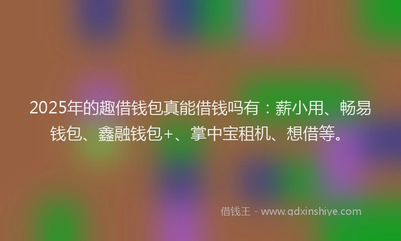 2025年的趣借钱包真能借钱吗有：薪小用、畅易钱包、鑫融钱包+、掌中宝租机、想借等。