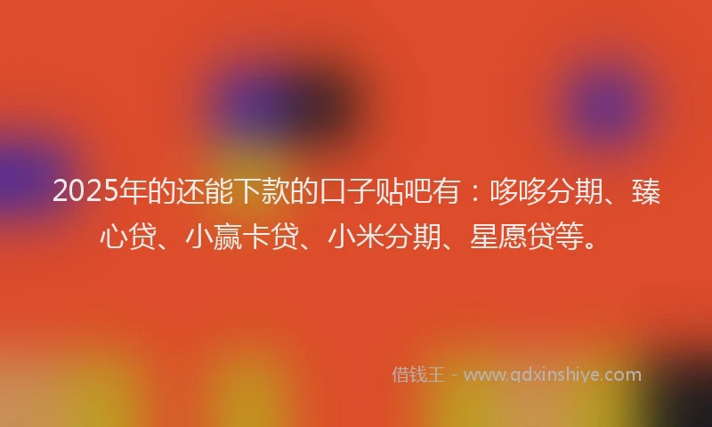2025年的还能下款的口子贴吧有：哆哆分期、臻心贷、小赢卡贷、小米分期、星愿贷等。
