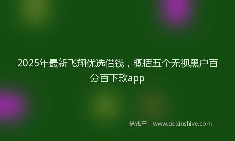 2025年最新飞翔优选借钱，概括五个无视黑户百分百下款app