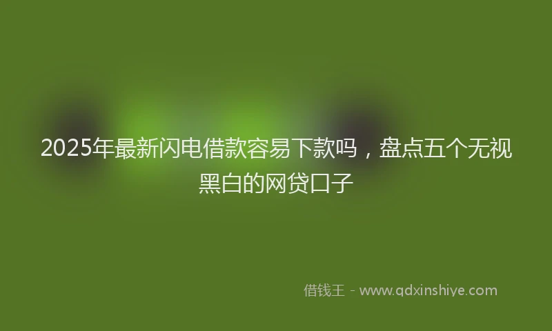 2025年最新闪电借款容易下款吗，盘点五个无视黑白的网贷口子