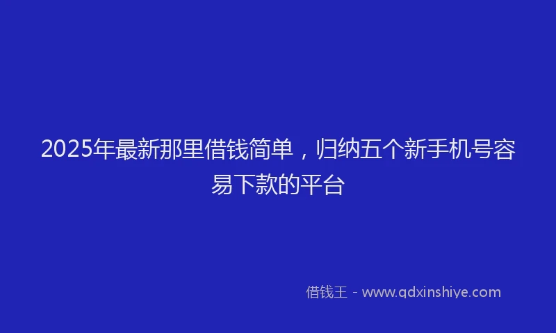 2025年最新那里借钱简单，归纳五个新手机号容易下款的平台