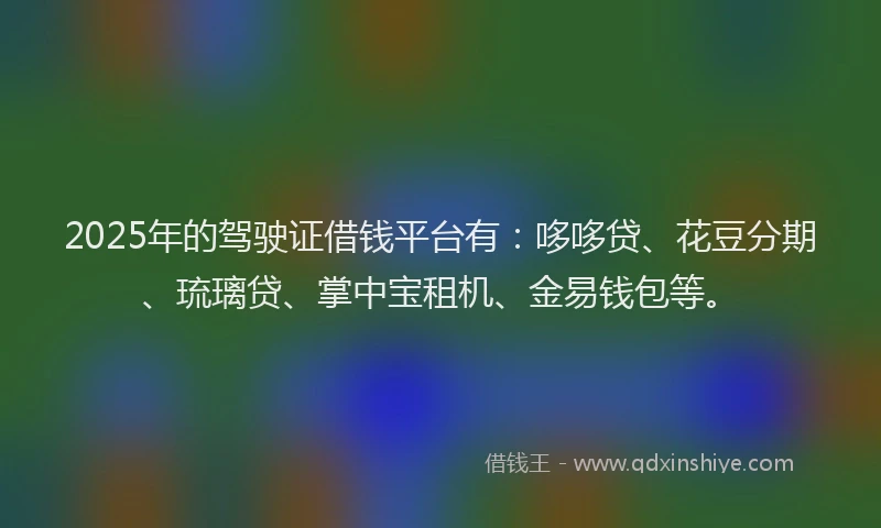 2025年的驾驶证借钱平台有：哆哆贷、花豆分期、琉璃贷、掌中宝租机、金易钱包等。