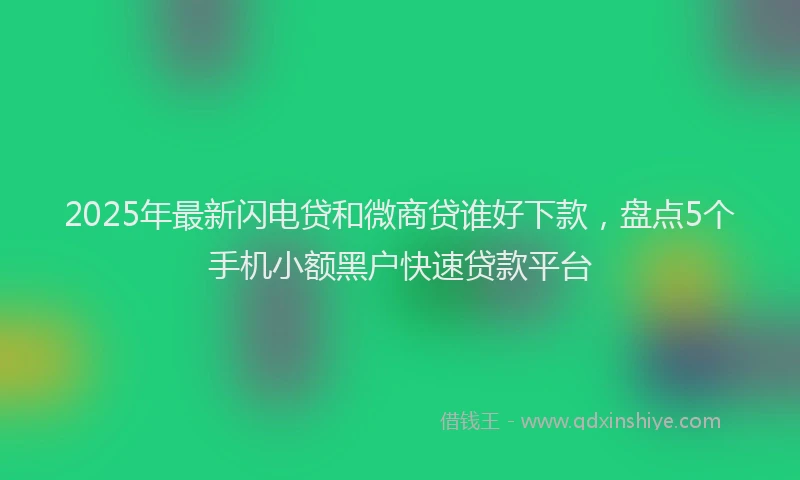 2025年最新闪电贷和微商贷谁好下款，盘点5个手机小额黑户快速贷款平台