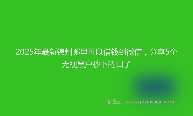 2025年最新锦州哪里可以借钱到微信，分享5个无视黑户秒下的口子