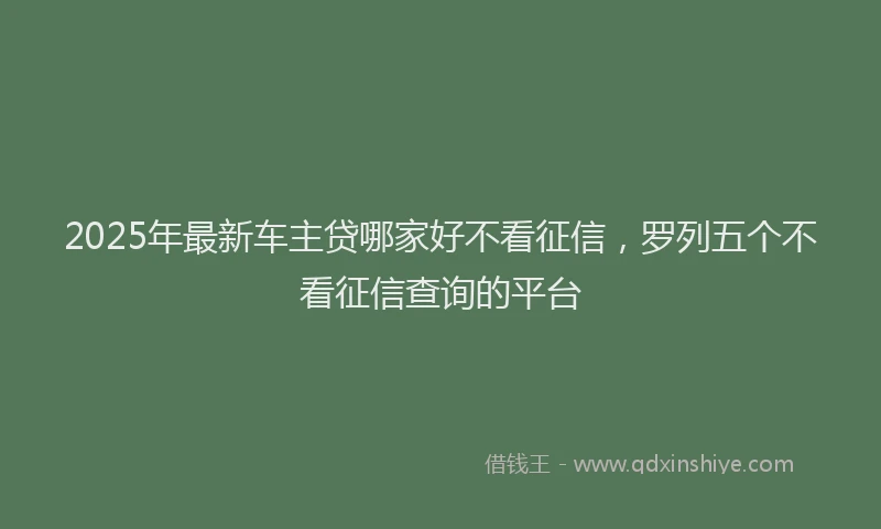 2025年最新车主贷哪家好不看征信，罗列五个不看征信查询的平台