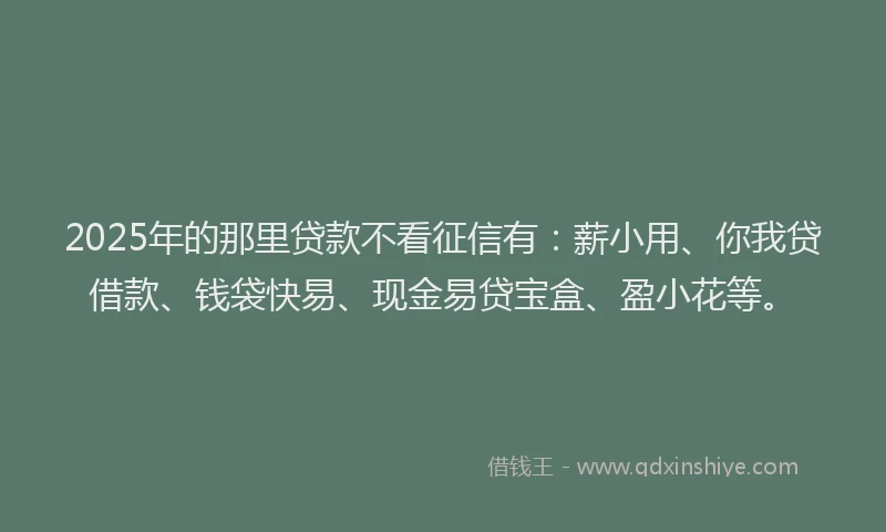 2025年的那里贷款不看征信有：薪小用、你我贷借款、钱袋快易、现金易贷宝盒、盈小花等。