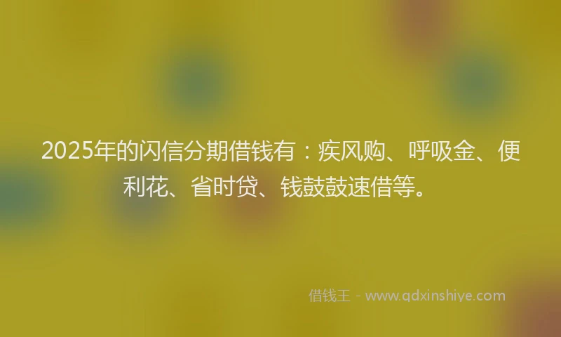 2025年的闪信分期借钱有：疾风购、呼吸金、便利花、省时贷、钱鼓鼓速借等。