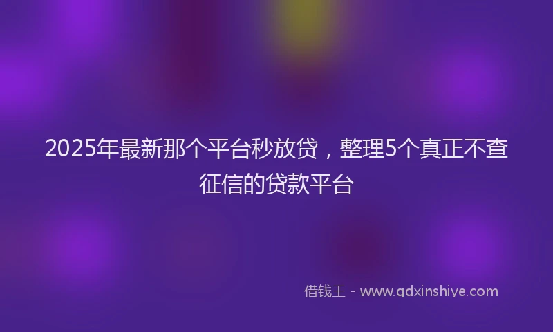 2025年最新那个平台秒放贷，整理5个真正不查征信的贷款平台
