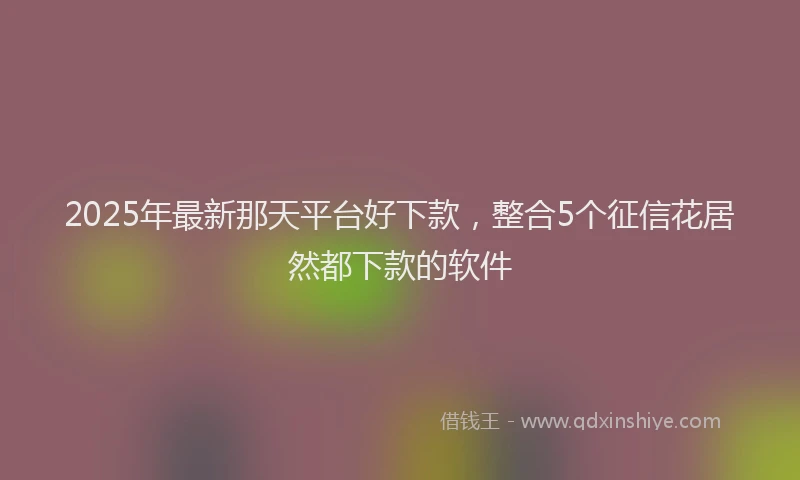 2025年最新那天平台好下款，整合5个征信花居然都下款的软件