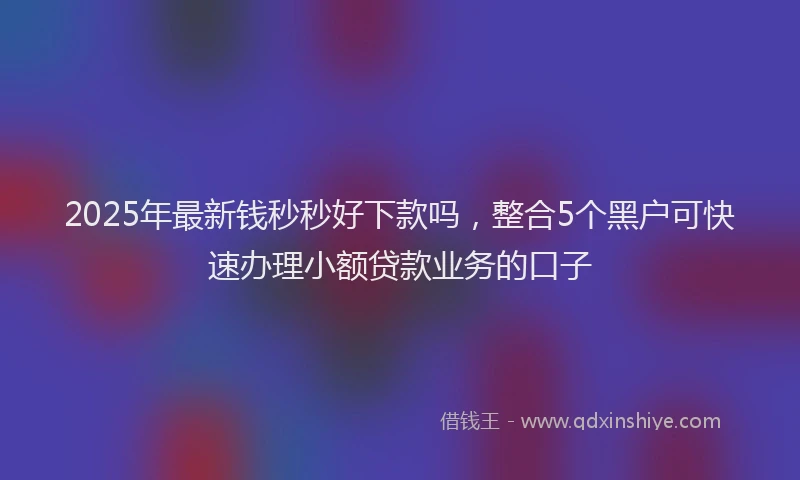 2025年最新钱秒秒好下款吗，整合5个黑户可快速办理小额贷款业务的口子