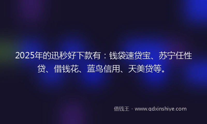 2025年的迅秒好下款有：钱袋速贷宝、苏宁任性贷、借钱花、蓝鸟信用、天美贷等。