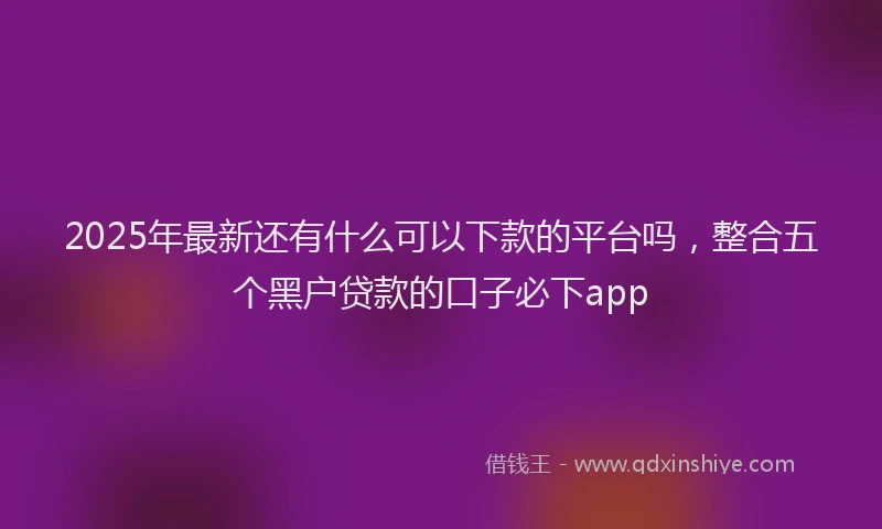 2025年最新还有什么可以下款的平台吗，整合五个黑户贷款的口子必下app
