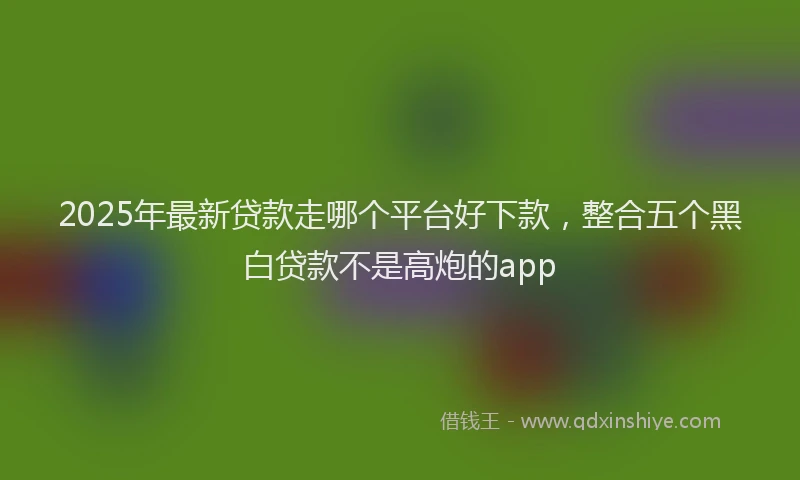 2025年最新贷款走哪个平台好下款，整合五个黑白贷款不是高炮的app