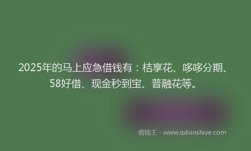2025年的马上应急借钱有：桔享花、哆哆分期、58好借、现金秒到宝、普融花等。