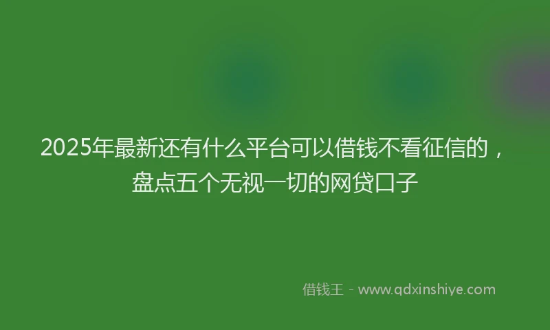 2025年最新还有什么平台可以借钱不看征信的，盘点五个无视一切的网贷口子