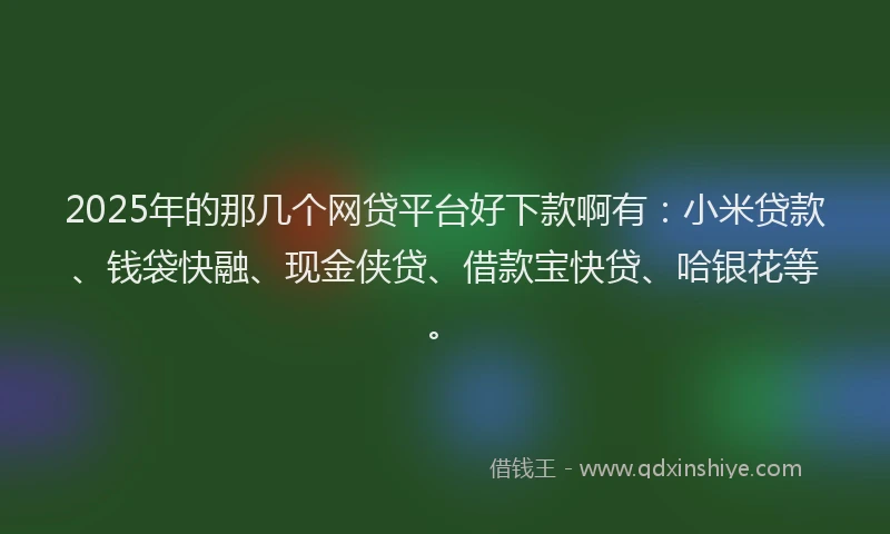 2025年的那几个网贷平台好下款啊有：小米贷款、钱袋快融、现金侠贷、借款宝快贷、哈银花等。