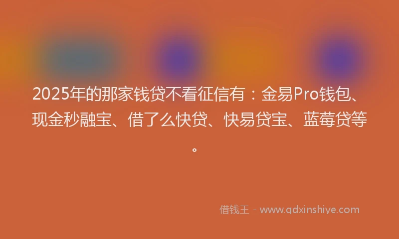 2025年的那家钱贷不看征信有：金易Pro钱包、现金秒融宝、借了么快贷、快易贷宝、蓝莓贷等。
