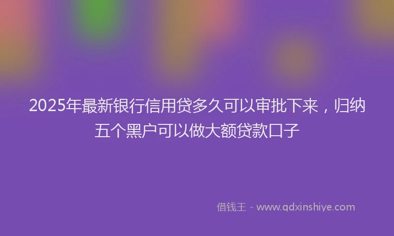 2025年最新银行信用贷多久可以审批下来，归纳五个黑户可以做大额贷款口子