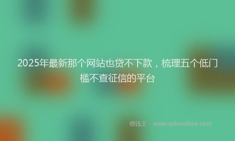 2025年最新那个网站也贷不下款，梳理五个低门槛不查征信的平台