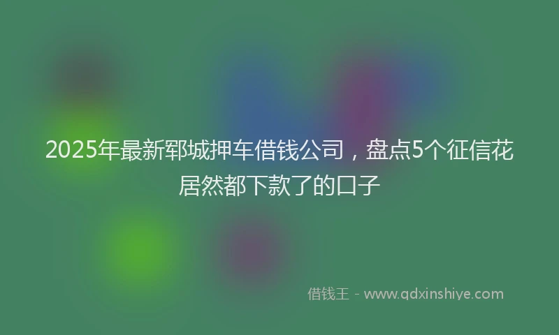 2025年最新郓城押车借钱公司，盘点5个征信花居然都下款了的口子